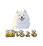 犬味 ヘソの達人（個別スタンプ：15）
