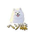 犬味 ヘソの達人（個別スタンプ：18）