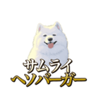 犬味 ヘソの達人（個別スタンプ：20）