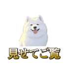 犬味 ヘソの達人（個別スタンプ：21）