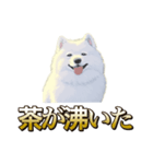犬味 ヘソの達人（個別スタンプ：22）