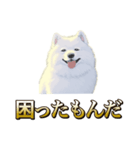 犬味 ヘソの達人（個別スタンプ：24）