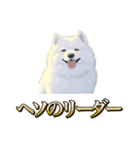 犬味 ヘソの達人（個別スタンプ：25）