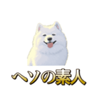 犬味 ヘソの達人（個別スタンプ：26）
