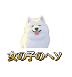 犬味 ヘソの達人（個別スタンプ：27）