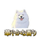 犬味 ヘソの達人（個別スタンプ：28）