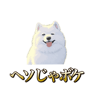 犬味 ヘソの達人（個別スタンプ：29）