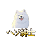 犬味 ヘソの達人（個別スタンプ：31）
