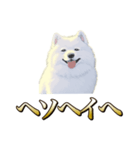 犬味 ヘソの達人（個別スタンプ：32）