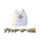 犬味 ヘソの達人（個別スタンプ：34）