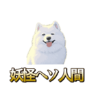 犬味 ヘソの達人（個別スタンプ：36）