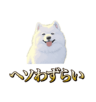 犬味 ヘソの達人（個別スタンプ：37）