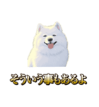 犬味 ヘソの達人（個別スタンプ：38）