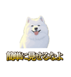 犬味 ヘソの達人（個別スタンプ：39）