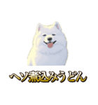 犬味 ヘソの達人（個別スタンプ：40）