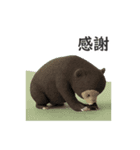 「ありがとう」「どういたしまして」08AI（個別スタンプ：7）