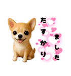 ち、ふわふわ♡Chihuahuaチワワちゃん達♡（個別スタンプ：11）