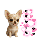 ち、ふわふわ♡Chihuahuaチワワちゃん達♡（個別スタンプ：14）