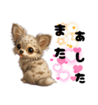 ち、ふわふわ♡Chihuahuaチワワちゃん達♡（個別スタンプ：26）