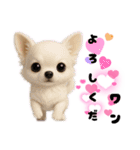 ち、ふわふわ♡Chihuahuaチワワちゃん達♡（個別スタンプ：30）