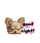 ち、ふわふわ♡Chihuahuaチワワちゃん達♡（個別スタンプ：38）