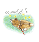 ここ柴スタンプその6（個別スタンプ：6）
