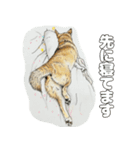 ここ柴スタンプその6（個別スタンプ：23）