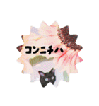 ゆるポラ。（個別スタンプ：1）