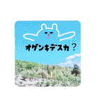 ゆるポラ。（個別スタンプ：9）