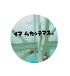 ゆるポラ。（個別スタンプ：15）
