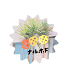 ゆるポラ。（個別スタンプ：23）