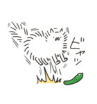 長毛ねこ（個別スタンプ：38）