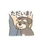 ミニシュナと毎日いっしょスタンプ（個別スタンプ：1）