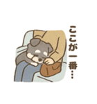 ミニシュナと毎日いっしょスタンプ（個別スタンプ：3）