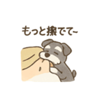 ミニシュナと毎日いっしょスタンプ（個別スタンプ：6）