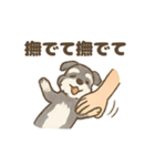 ミニシュナと毎日いっしょスタンプ（個別スタンプ：7）