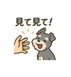 ミニシュナと毎日いっしょスタンプ（個別スタンプ：10）