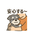 ミニシュナと毎日いっしょスタンプ（個別スタンプ：11）