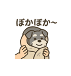 ミニシュナと毎日いっしょスタンプ（個別スタンプ：16）
