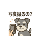 ミニシュナと毎日いっしょスタンプ（個別スタンプ：17）