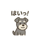 ミニシュナと毎日いっしょスタンプ（個別スタンプ：18）