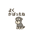ミニシュナと毎日いっしょスタンプ（個別スタンプ：19）