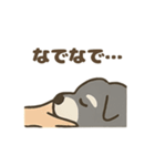 ミニシュナと毎日いっしょスタンプ（個別スタンプ：22）