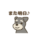 ミニシュナと毎日いっしょスタンプ（個別スタンプ：23）