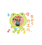 おどるココくまスタンプ！ココアート（個別スタンプ：14）