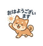 ほんわか柴犬ライフ（個別スタンプ：1）