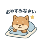 ほんわか柴犬ライフ（個別スタンプ：5）
