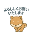 ほんわか柴犬ライフ（個別スタンプ：10）