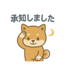 ほんわか柴犬ライフ（個別スタンプ：11）