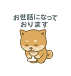 ほんわか柴犬ライフ（個別スタンプ：13）